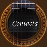Contacta con Guitarra Flamenco
