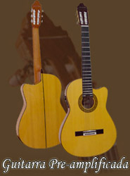 Guitarras Amplificadas Valeriano Bernal